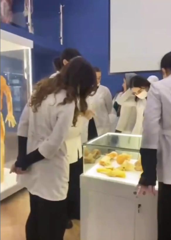 Анотомический музей