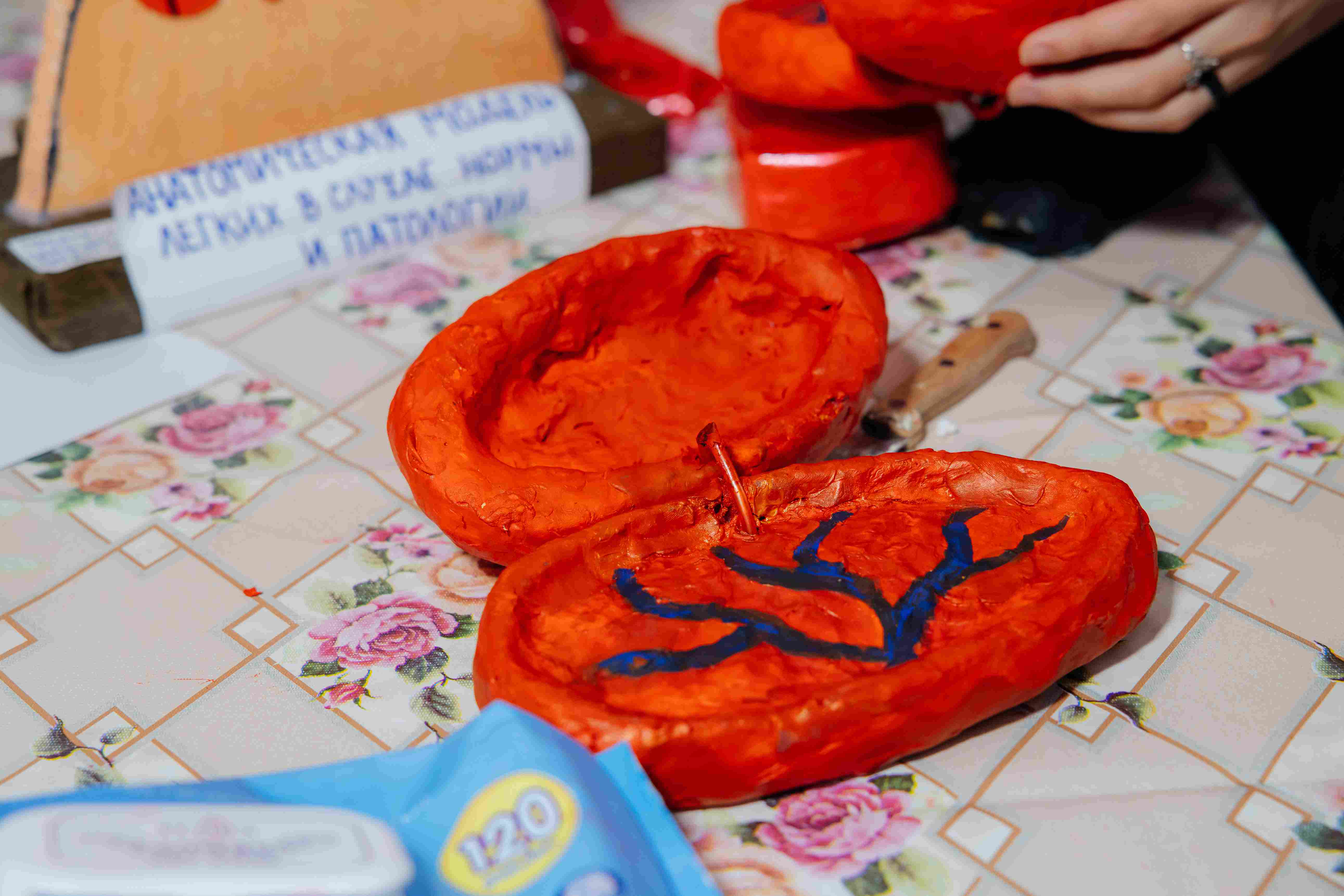 Дошкольное образование