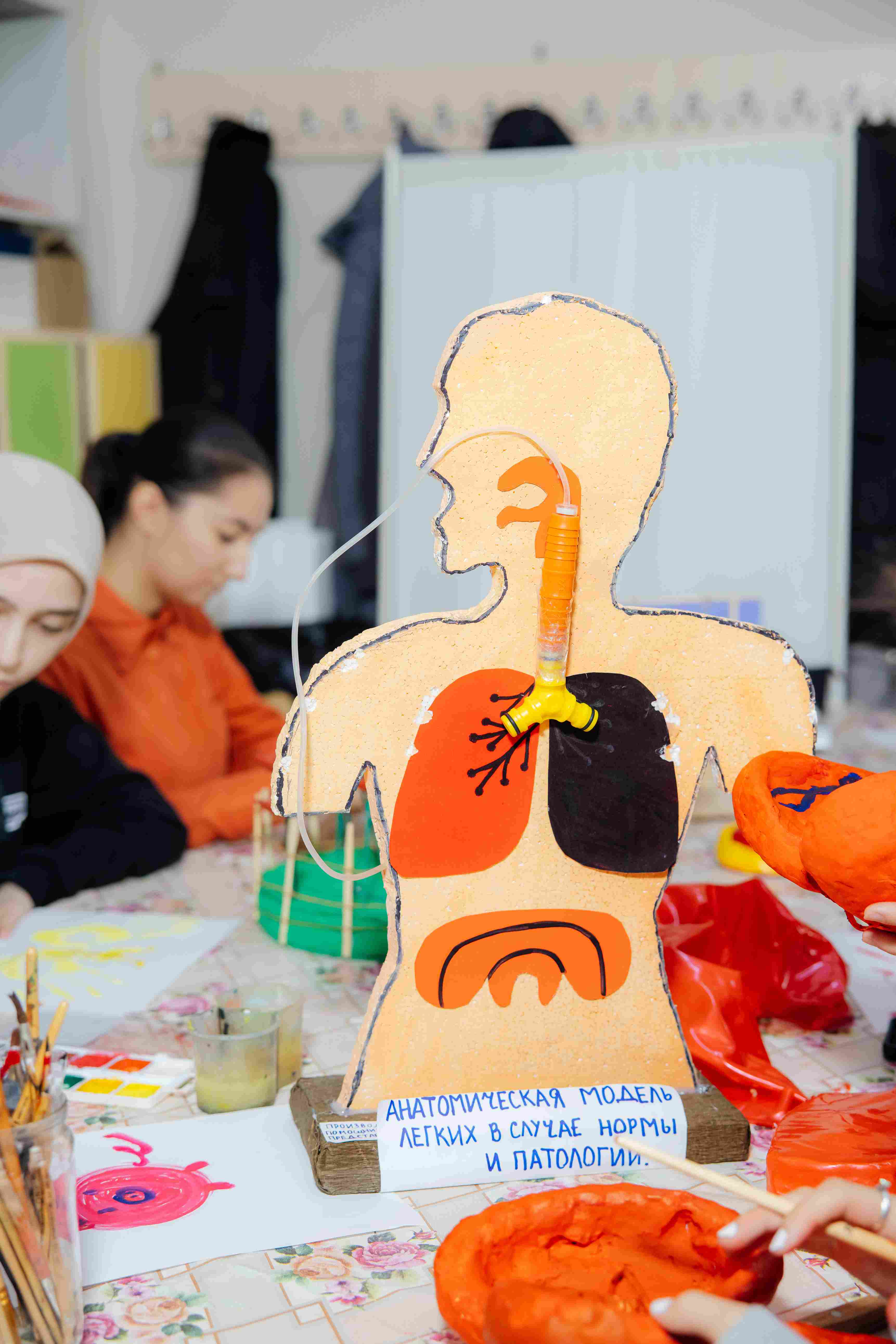 Дошкольное образование